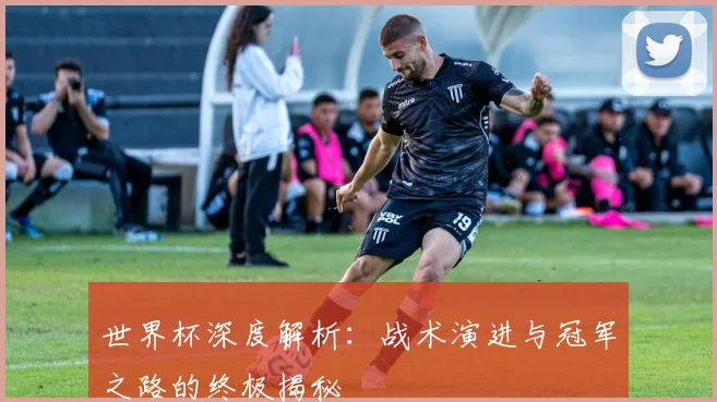世界杯深度解析:战术演进与冠军之路的终极揭秘